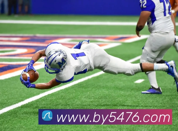 AI Risk Control